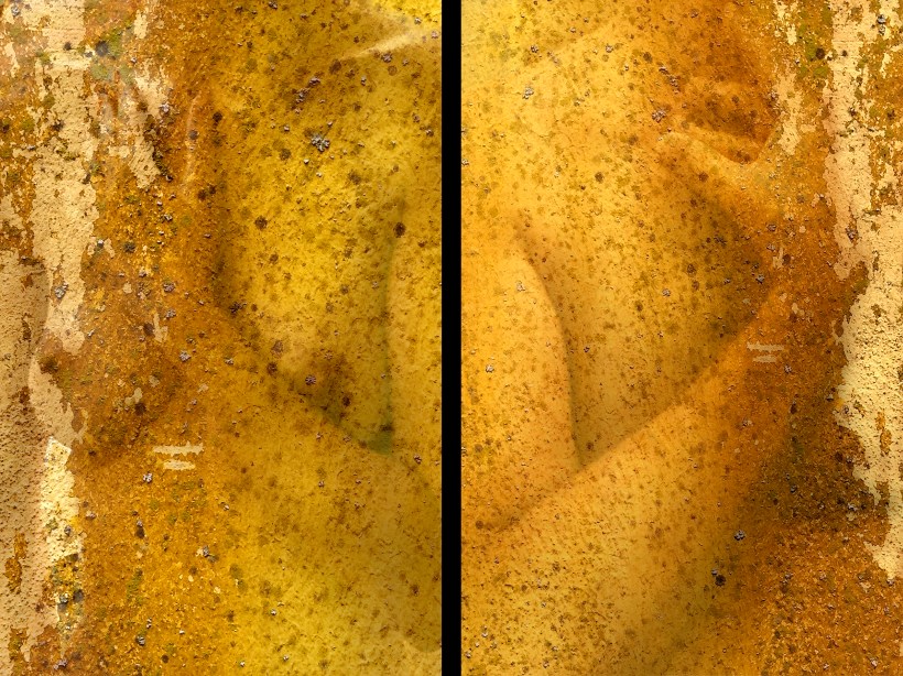 Adama - Adamah / 100 x 75 cm