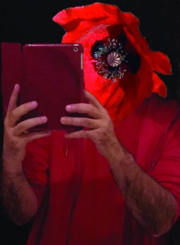 homme-a-tete-de-coquelicot